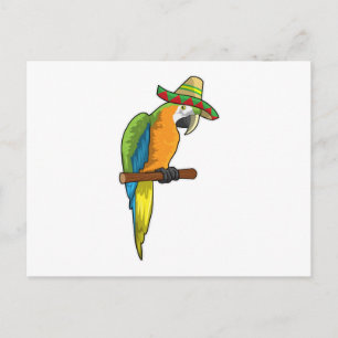 Cartão Postal Papagaio com chapéu de palha