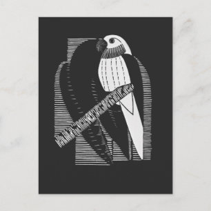Cartão Postal Papagaio Costas Minimalista Arte Animal Abstrata