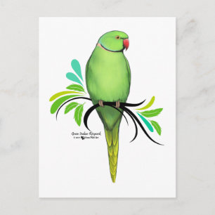 Cartão Postal Papagaio-de-colar-indiano-verde