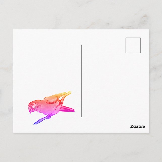 Cartão Postal Papagaio feliz (Verso)