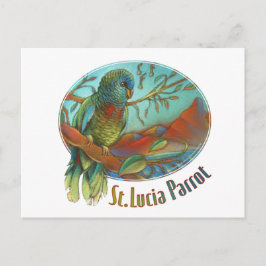 Cartão Postal Papagaio tropical de St Lucia
