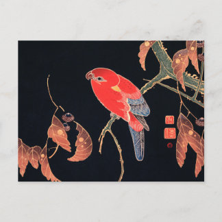 Cartão Postal Papagaio Vermelho no Ramal de uma Árvore por Ito J