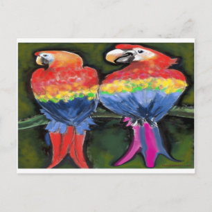Cartão Postal Papagaios