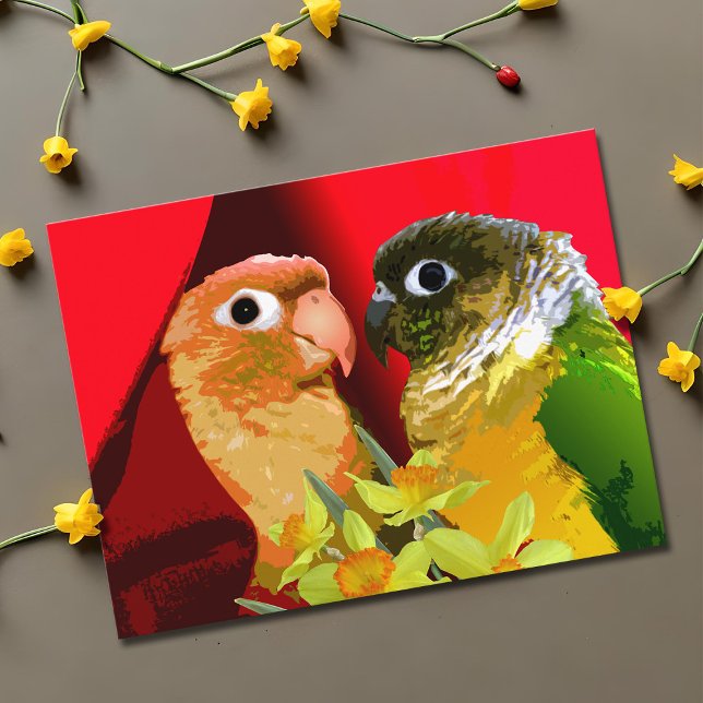 Cartão Postal Papagaios Conure de Bochecha Verde Doce Apaixonado (Sweet green cheek conure couple valentine postcard)
