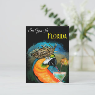 Cartão Postal Papagaios de Festa