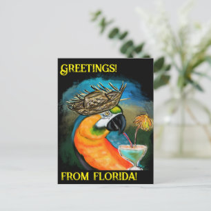 Cartão Postal Papagaios de Festa