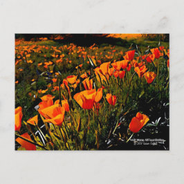 Cartão Postal Papagaios Dourados do México Laranja florescendo n