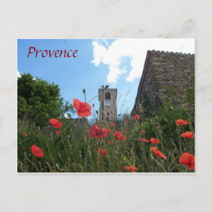 Cartão Postal Papagaios na Provença