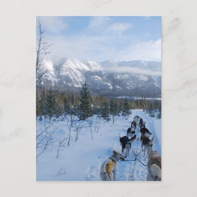 Cartão Postal Papagaios - Paisagem (Frente)