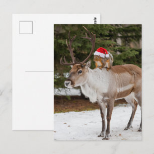Cartão Postal Papai Noel Esquilo Adorável e o Natal dos Renegado