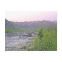 Papais noeis Barbara Mesa View