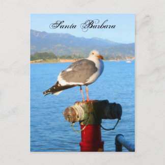 Cartão Postal Papais noeis Barbara Seagull