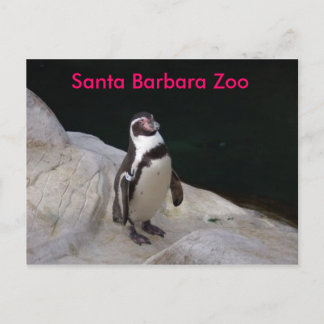 Cartão Postal Papais noeis Barbara Zoo
