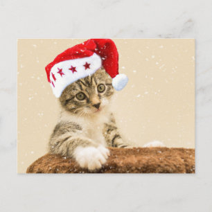 Cartão Postal Papais noeis Cat