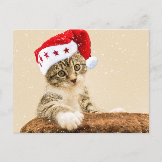 Cartão Postal Papais noeis Cat (Frente)