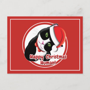 Cartão Postal Papais noeis Cat