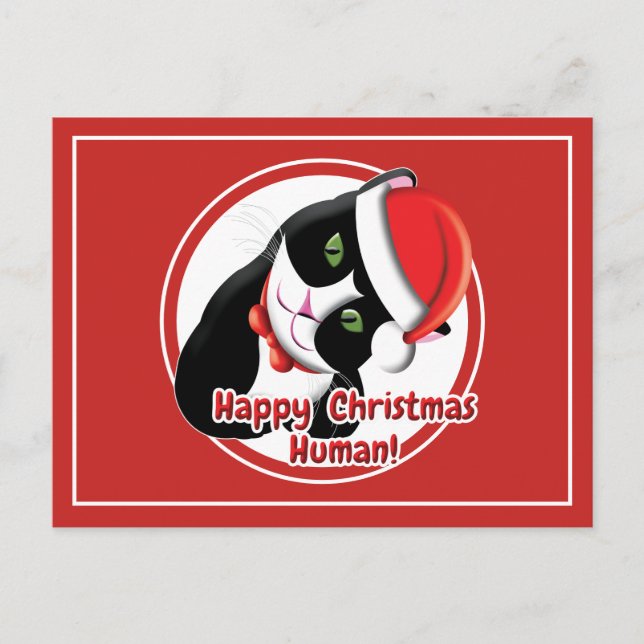 Cartão Postal Papais noeis Cat (Frente)