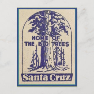 Cartão Postal Papais noeis Cruz California - Lar das Grandes Ár