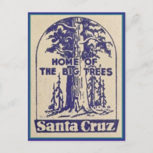Cartão Postal Papais noeis Cruz California - Lar das Grandes Ár