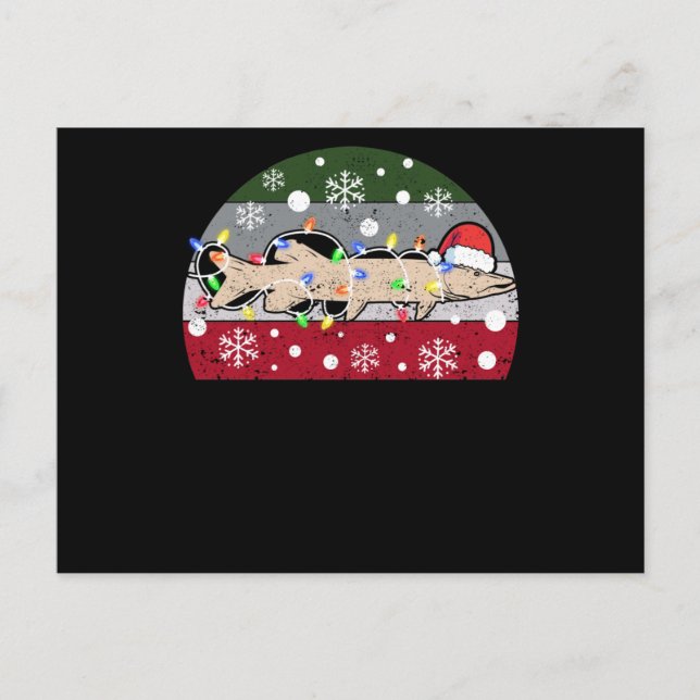 Cartão Postal Papais noeis Engraçados de Ice Musky de Natal (Frente)