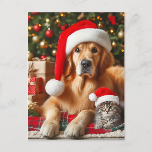 Cartão Postal Papais noeis Pets Ouro Retriever e Kitty Natal (Frente)