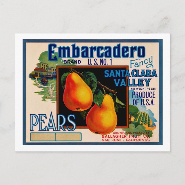 Cartão Postal Papais noeis Ricos Embarcadero Clara Pears (Frente)