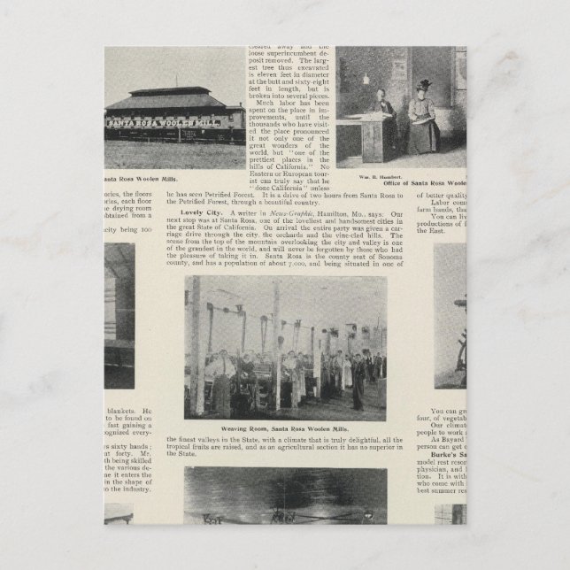 Cartão Postal Papais noeis Rosa, Califórnia (Frente)