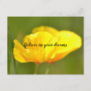 Cartão Postal Papas Laranja