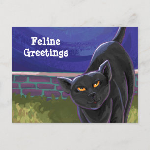 Cartão Postal Papel de Carta para Gatos Negros