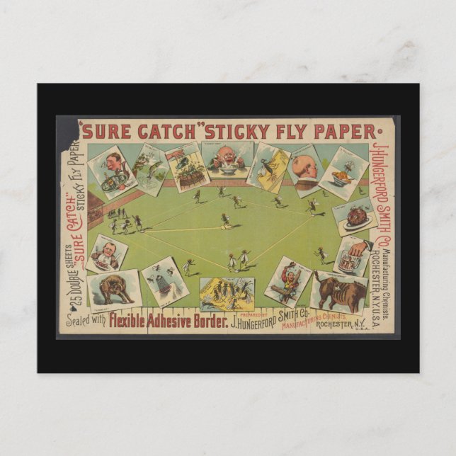 Cartão Postal Papel de mosca adesivo "com certeza" (Frente)