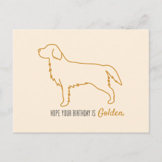 Cartão Postal Papel Higiênico Golden Retriever 