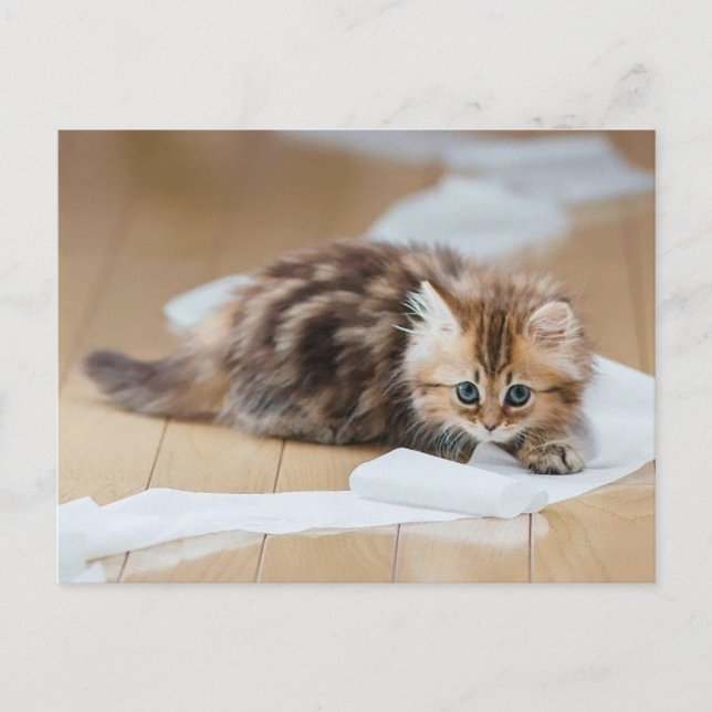 Cartão Postal Papel-rolha (Frente)