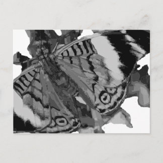 Cartão Postal papillon