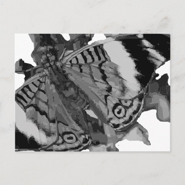 Cartão Postal papillon (Frente)