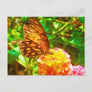 Cartão Postal Papillon (Borboleta)
