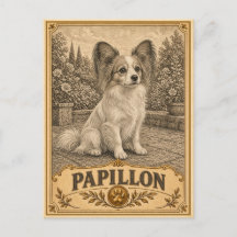Papillon, Cachorro Vintage Heritage
