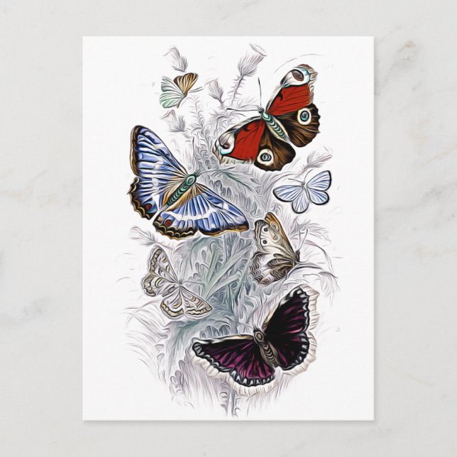 Cartão Postal papillons (Frente)