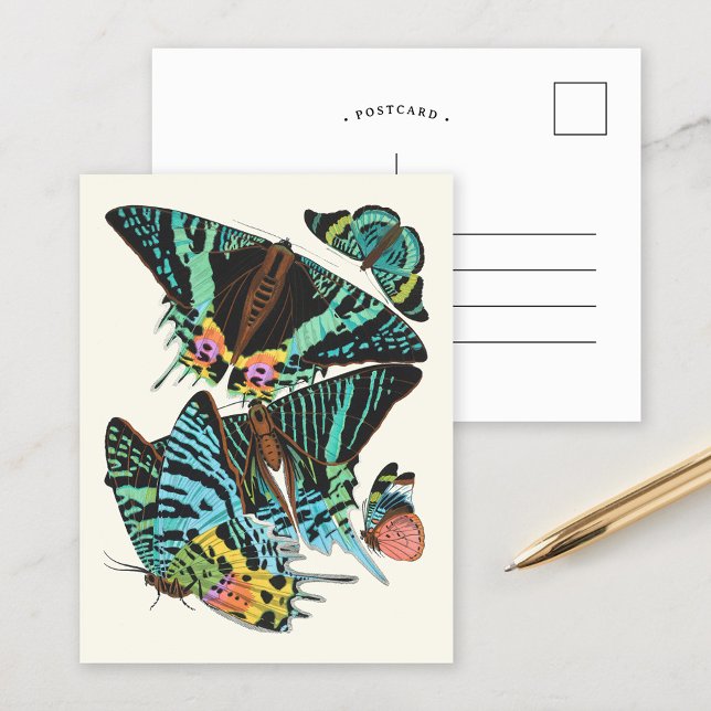 Cartão Postal Papilões | Emile-Allain Séguy (Criador carregado)
