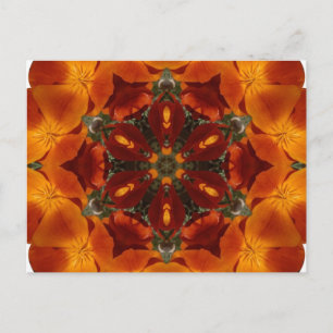 Cartão Postal Papoila da Califórnia - Cartão-postal