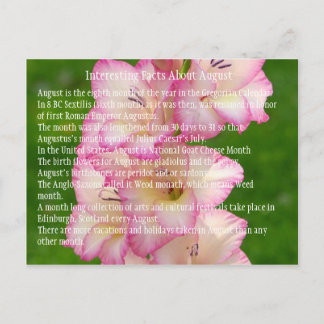 Cartão Postal papoila-selvagem