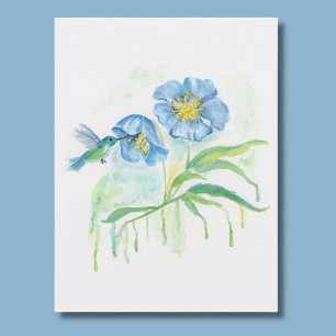 Cartão Postal Papoula Azul do Himalaia com Beija-flor