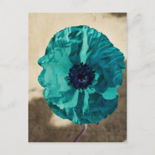 Cartão Postal Papoula Azul-esverdeada
