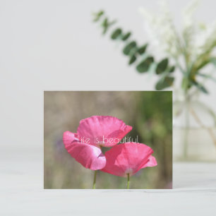 Cartão Postal Papoulas Cor-de-Rosa 