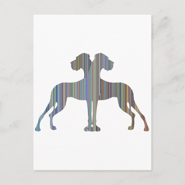 Cartão Postal Par de Dinamarqueses (Frente)