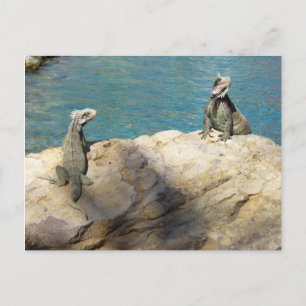 Cartão Postal Par de Fotografia Tropical de Iguanas