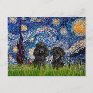 Cartão Postal Par de Poodle (preto) - Noite Estrelada