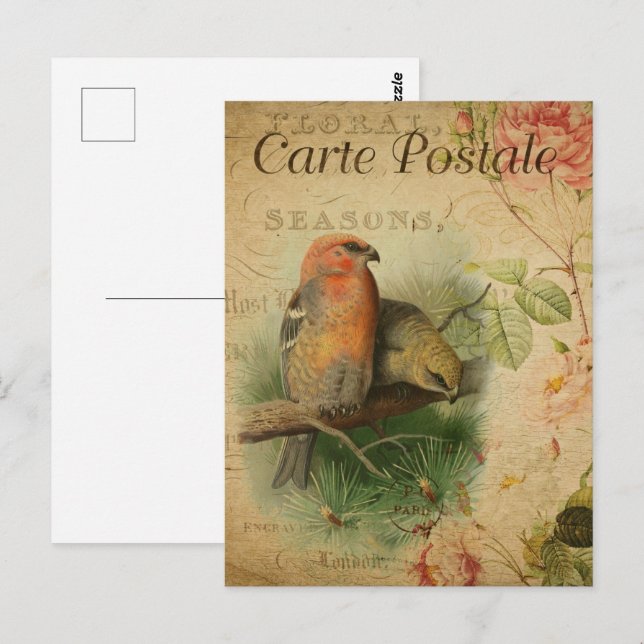Cartão Postal Par Vintage de Aves (Frente/Verso)