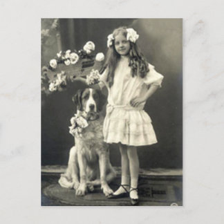 Cartão postal para 67 animais