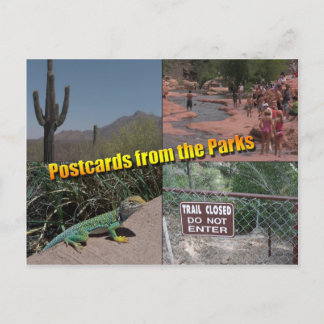 Cartão postal para a Casa