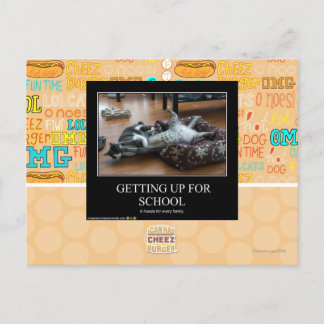 Cartão Postal Para A Escola